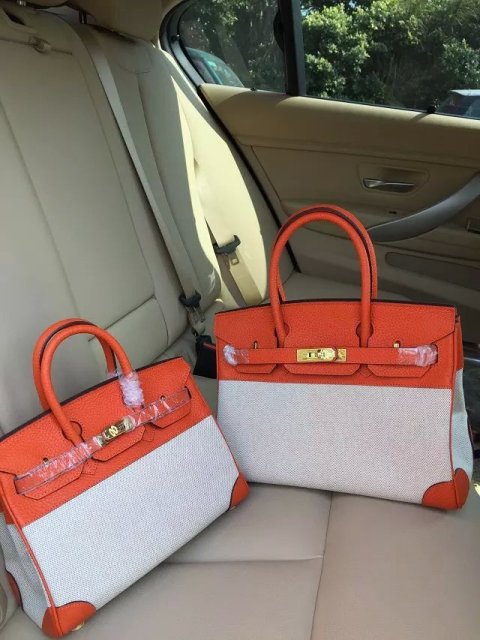 Hermes Birkin 25cm Orange Leather/Canvas With Gold Hardware - Click Image to Close