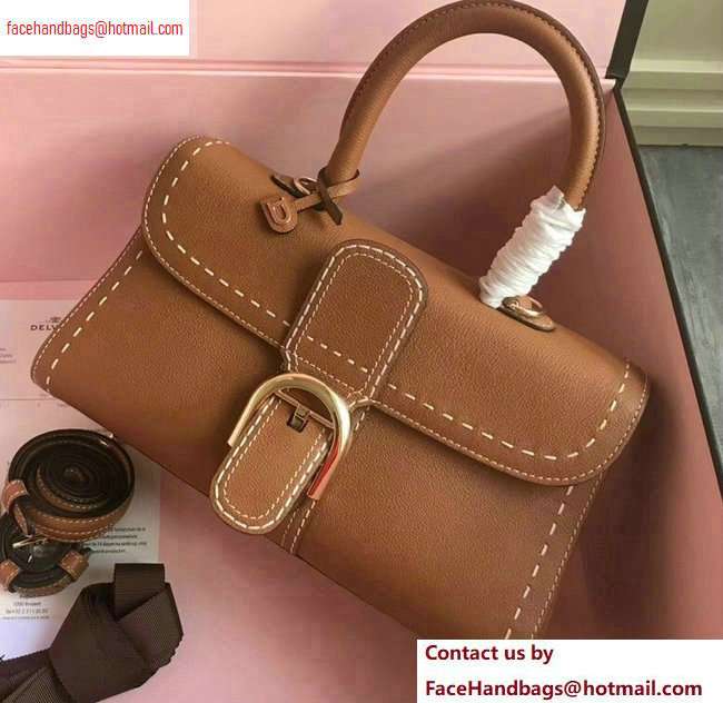 Delvaux Brillant East/West Mini Tote Bag In Togo Leather Large Brown - Click Image to Close