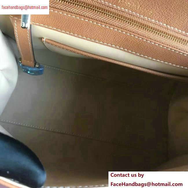Delvaux Brillant Medium Tote Bag In Togo Leather Brown - Click Image to Close