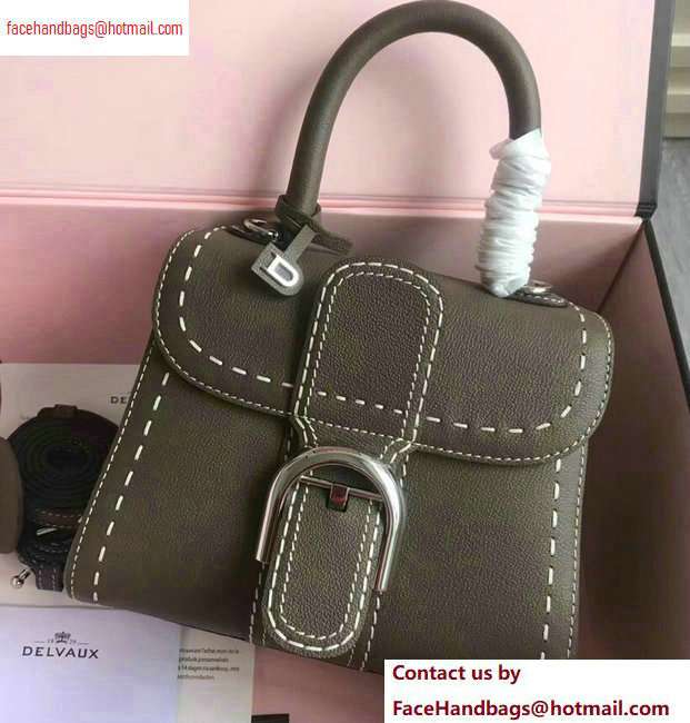 Delvaux Brillant Small Tote Bag In Togo Leather Elephant Gray - Click Image to Close