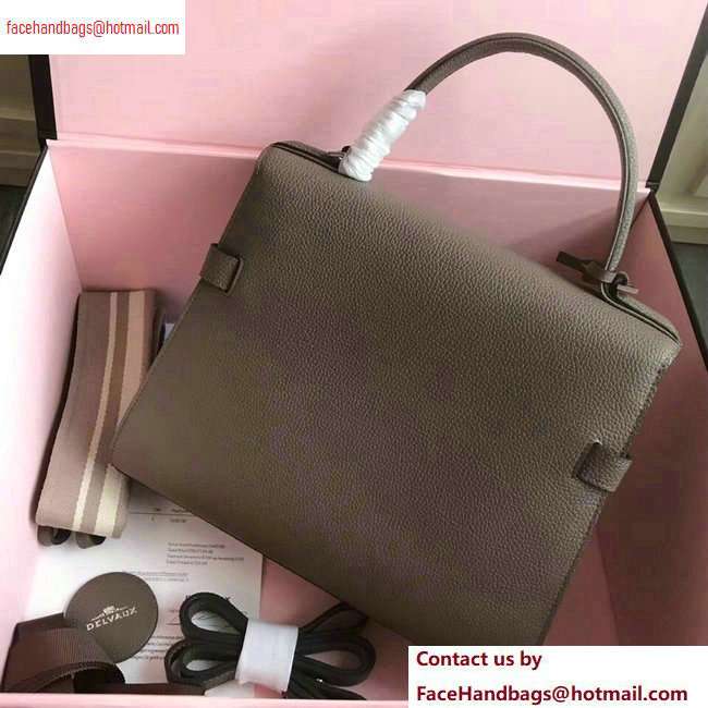 Delvaux Togo Leather Tempete MM Top Handle Tote Bag Etoupe