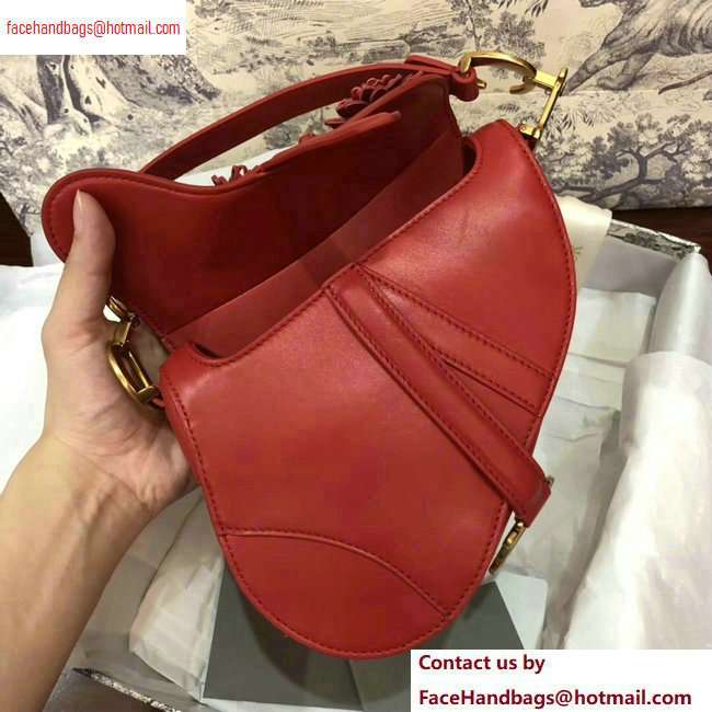 Dior Mini Saddle Bag in Red Lambskin with Embroidered Flowers Fall 2020