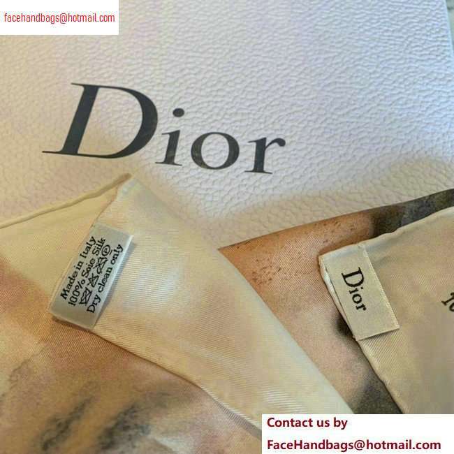 Dior Silk Scarf 90x90cm 01 2020