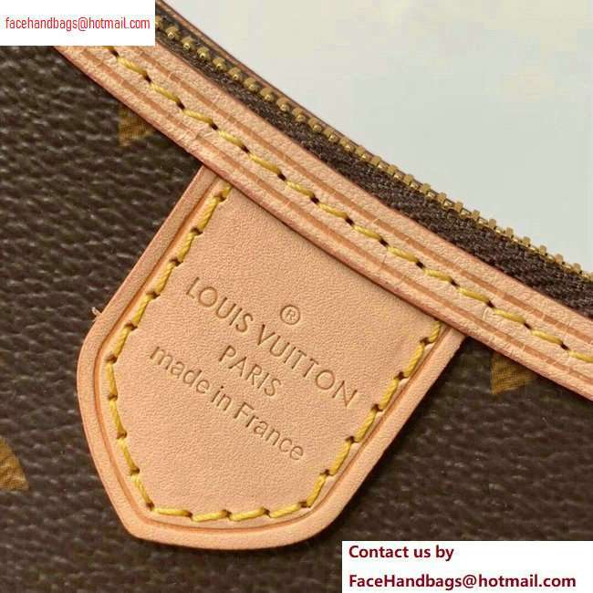 Louis Vuitton Monogram Canvas Mini Pochette Delightful Pouch Bag M40309