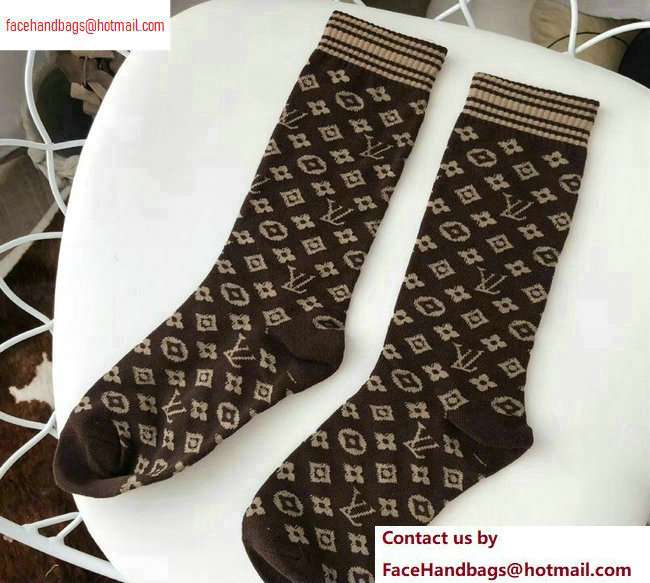 Louis Vuitton Socks LV06 2020