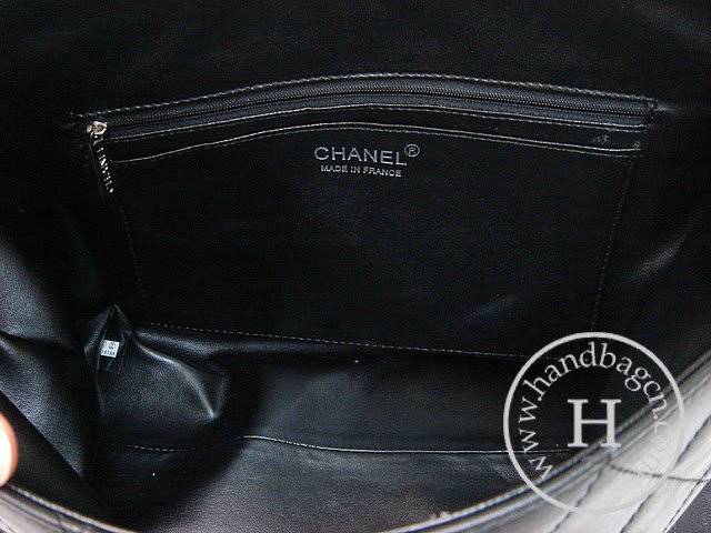 Chanel 35978 SPRING-SUMMER 2009 Flap Bag - Click Image to Close