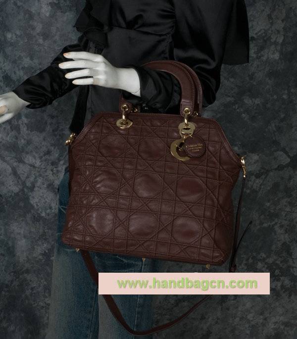 Christian Dior 44571 Granville Bag