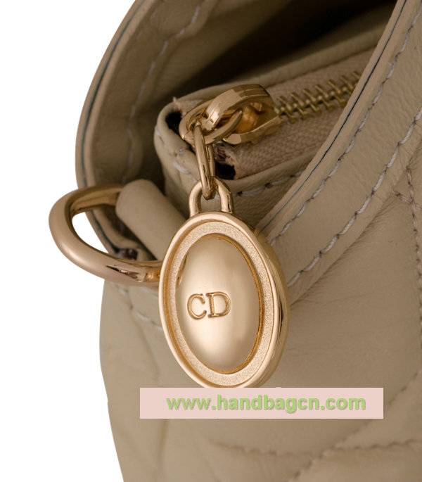 Christian Dior 2010 Handbag_44572rw