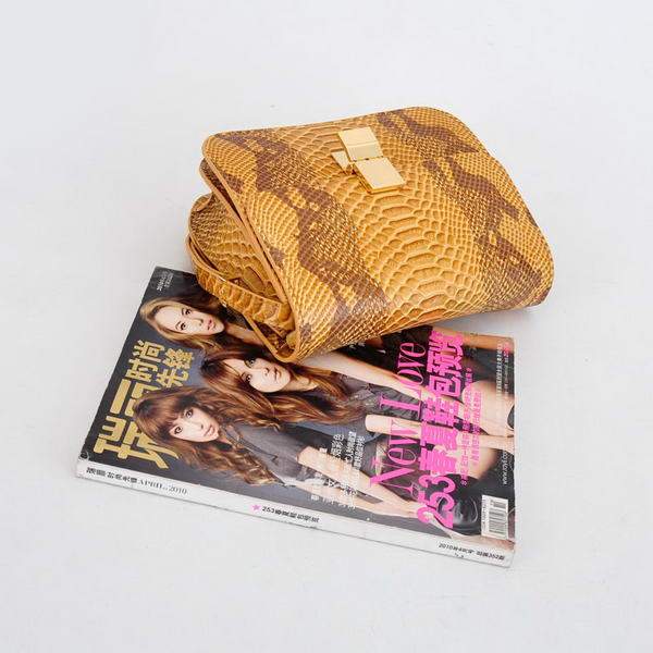 Celine Classic Box Small Flap Bag Lizard Leather 80078 Yellow