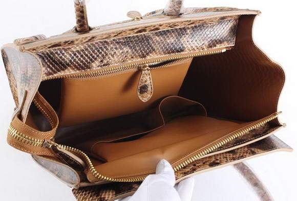 Celine Luggage Mini 30cm Boston Bag 98169 Apricot Snake Veins
