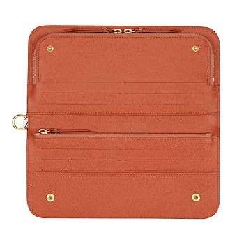 Louis Vuitton M60270 Insolite Wallet Bag