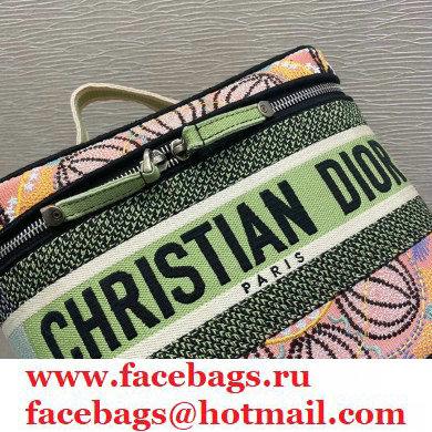 Dior Diortravel Vanity Case Bag in Multicolor Lights Embroidery 2021