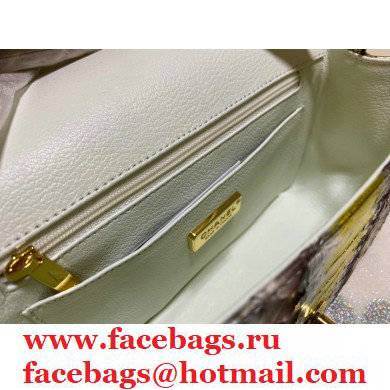 Chanel Python Classic Flap Small Bag A1116 04 2021 - Click Image to Close
