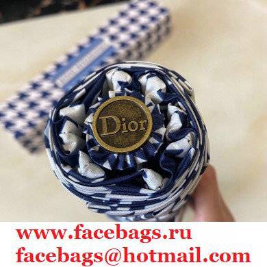 Dior Umbrella 12 2021 - Click Image to Close