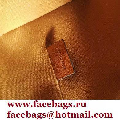 Celine Strap Box Bag in Triompe Canvas white 2021 - Click Image to Close