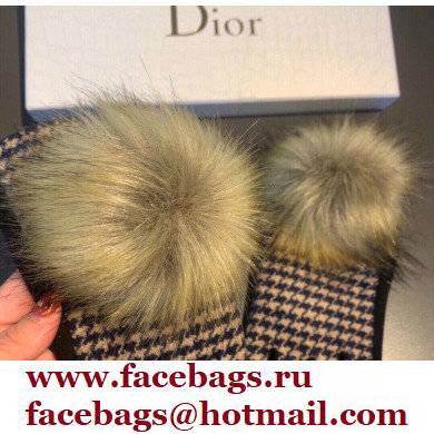Dior Gloves D06 2021