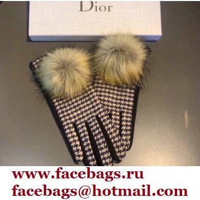 Dior Gloves D06 2021