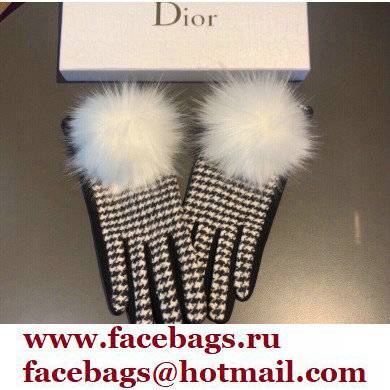 Dior Gloves D07 2021