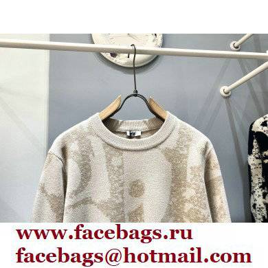 Dior Sweatshirt/Sweater D04 2021