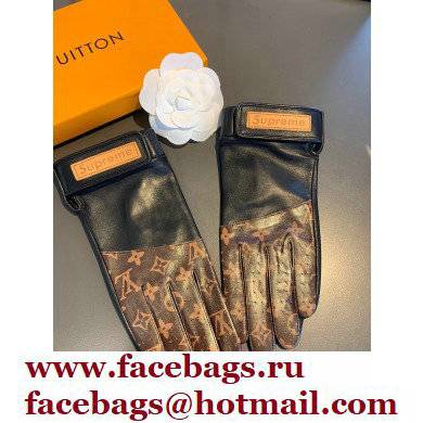Louis Vuitton Gloves LV10 2021