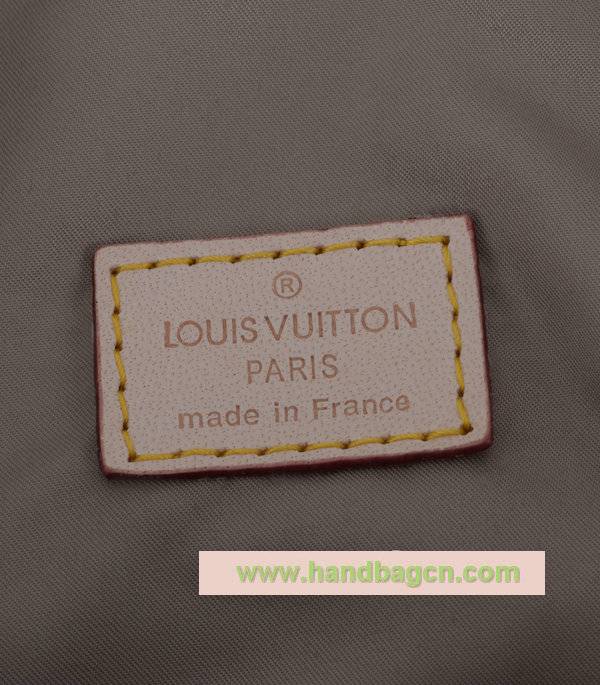 Louis Vuitton m93077 Damier Géant Canvas Loup