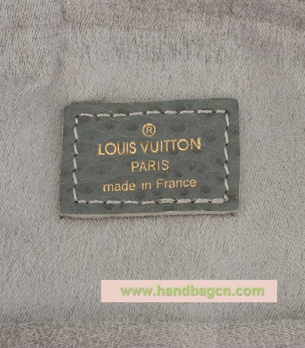 Louis Vuitton m95834 Monogram Denim XS