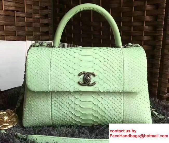 Chanel Python Coco Top Handle Flap Shoulder Large Bag A93279 Pale Green 2017 - Click Image to Close