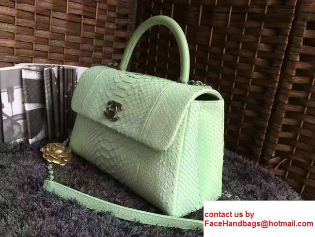 Chanel Python Coco Top Handle Flap Shoulder Large Bag A93279 Pale Green 2017 - Click Image to Close
