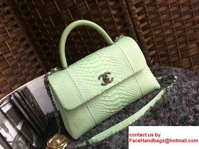 Chanel Python Coco Top Handle Flap Shoulder Large Bag A93279 Pale Green 2017