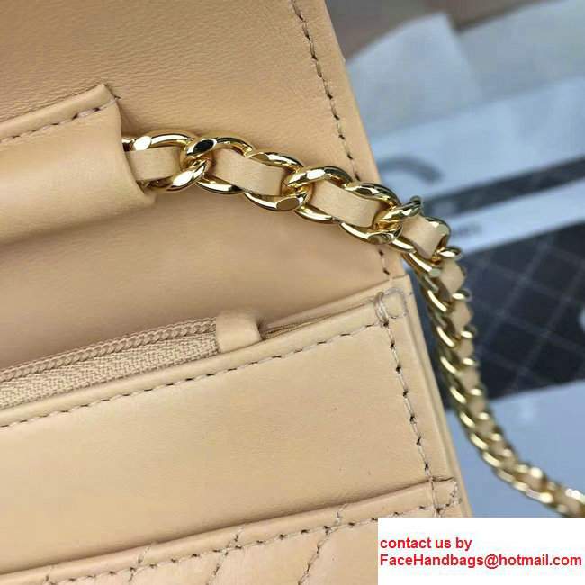 Chanel Quilting Chevron Wallet On Chain WOC Bag Apricot