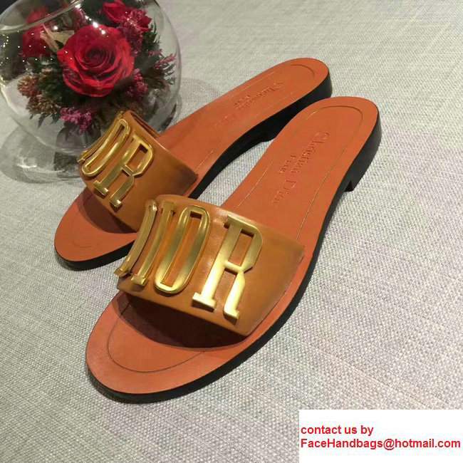 Dior Adorned With Metallic D.I.O.R Logo Mules Sandals Orange Summer 2017