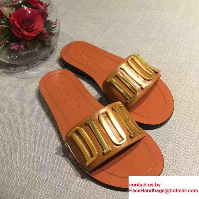 Dior Adorned With Metallic D.I.O.R Logo Mules Sandals Orange Summer 2017