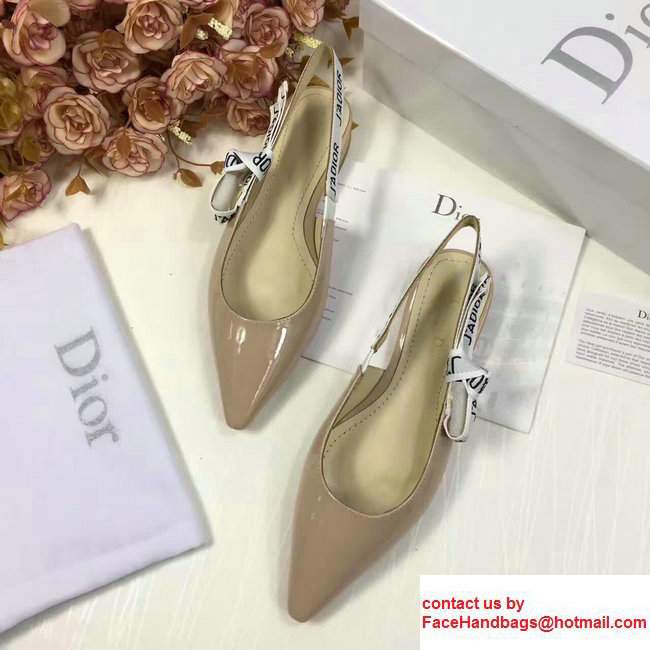 Dior Ballerina Heel 1cm In Techical Leather And J'adior Ribbon Scandal Apricot 2017