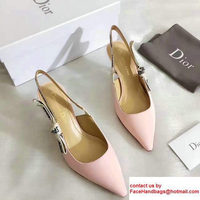 Dior Ballerina Heel 6.5cm In Techical Leather And J'adior Ribbon Scandal Pink 2017