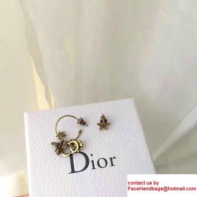 Dior D PORTE-BONHEUR J'ADIOR Earrings 2017