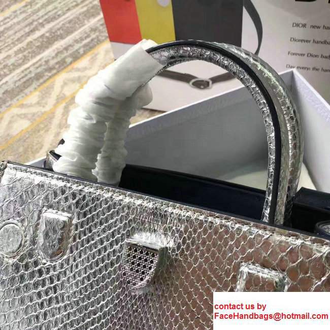 Dior Python Diorever Mini Flap Tote Bag Silver 2017 - Click Image to Close