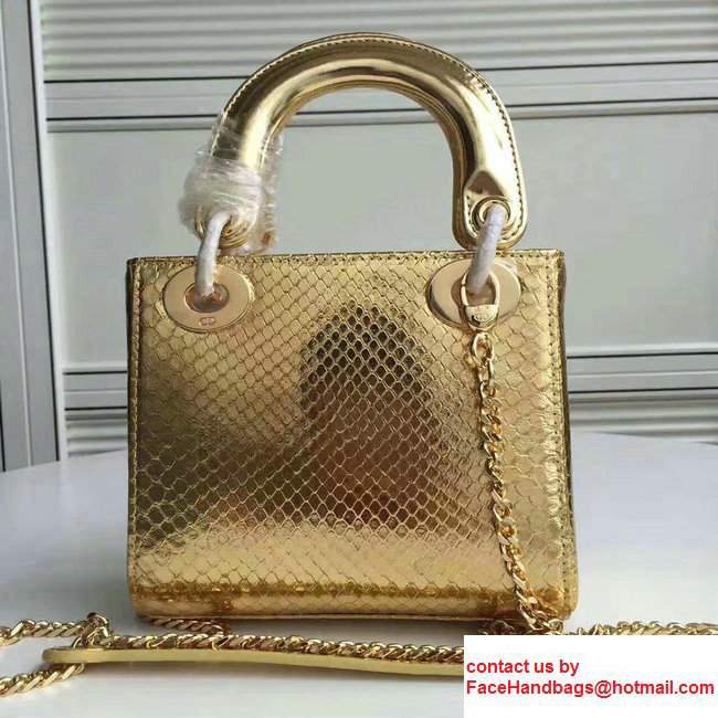 Lady Dior Python Small/Mini Bag with Double Chain Strap Gold 2017 - Click Image to Close