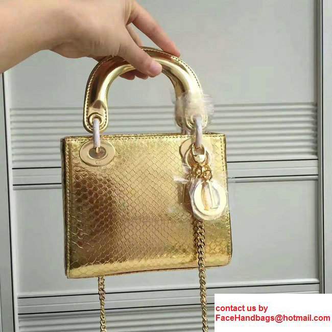 Lady Dior Python Small/Mini Bag with Double Chain Strap Gold 2017