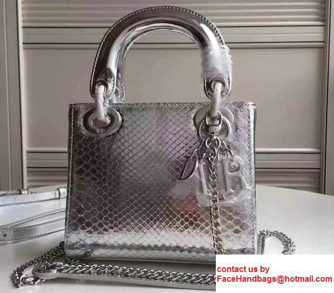 Lady Dior Python Small/Mini Bag with Double Chain Strap Silver 2017