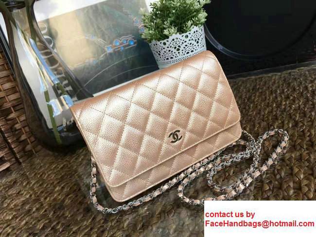 Chanel Grained Metal Wallet On Chain WOC Bag A80982 Gold 2017