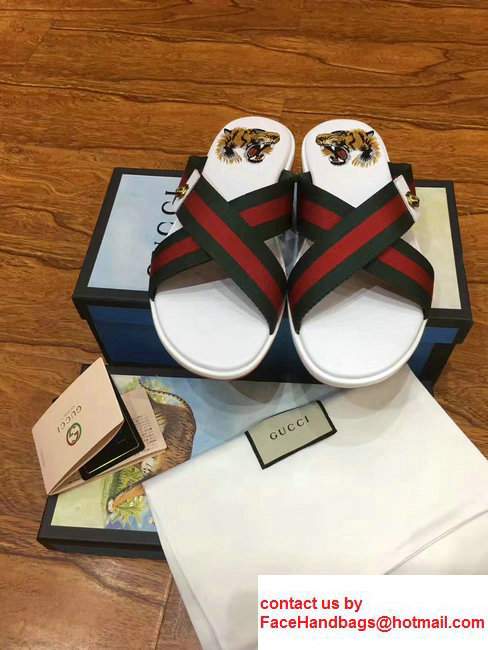 Gucci Crossover Web Tiger Head PrintFootbed Men's Slide Scandals White 2017 - Click Image to Close