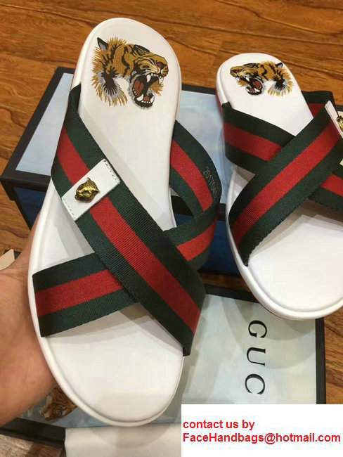 Gucci Crossover Web Tiger Head PrintFootbed Men's Slide Scandals White 2017