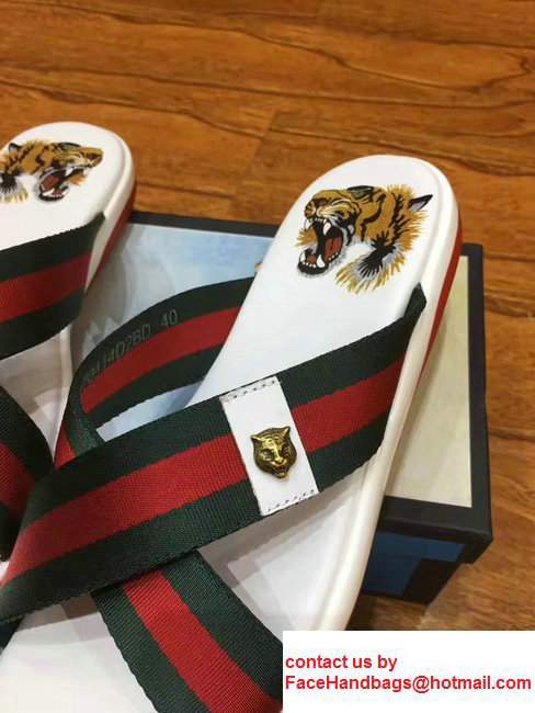 Gucci Crossover Web Tiger Head PrintFootbed Men's Slide Scandals White 2017 - Click Image to Close