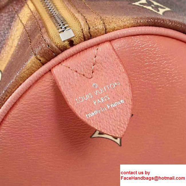 Louis Vuitton Masters Collection's Piece FRAGONARD Speedy 30 M43307 Pink 2017
