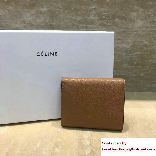 Celine Small Folded Multifunction Wallet 104903 Brown - Click Image to Close