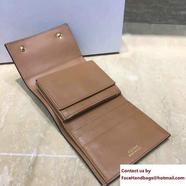 Celine Small Folded Multifunction Wallet 104903 Brown