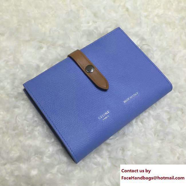 Celine Strap Medium Multifunction Wallet 104813 Light Blue/Brown - Click Image to Close