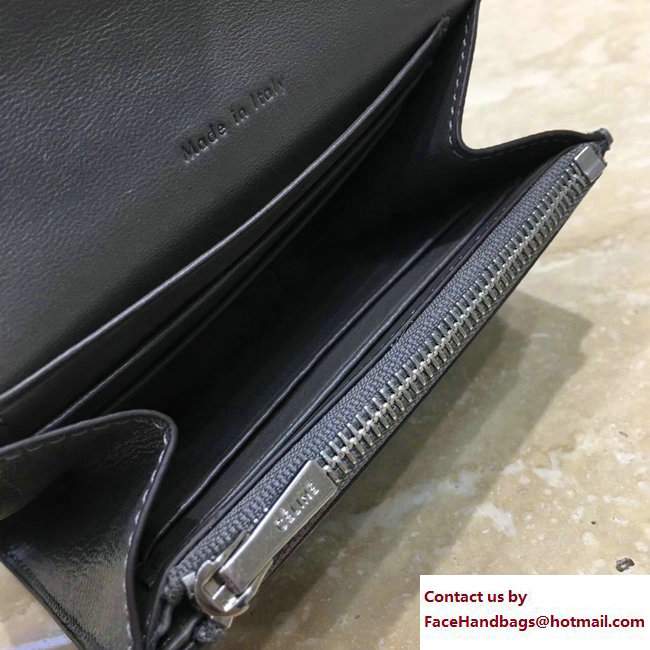 Celine Trotteur Small Folded Multifunction Wallet 107863 Gray 2017