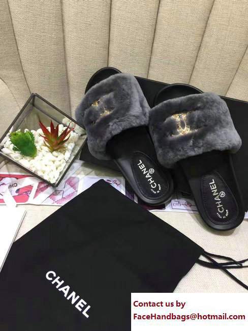 Chanel Multicolor CC Logo Orylag Slipper Sandals Mules Gray 2017