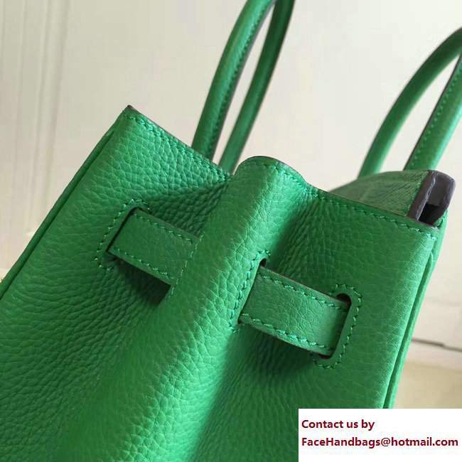 Hermes Clemence Leather Birkin 25/30/35cm Bag Green with Gold Hardware - Click Image to Close